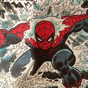 🔵💲2/10‼️ MARVEL COMIC wall art 🖼